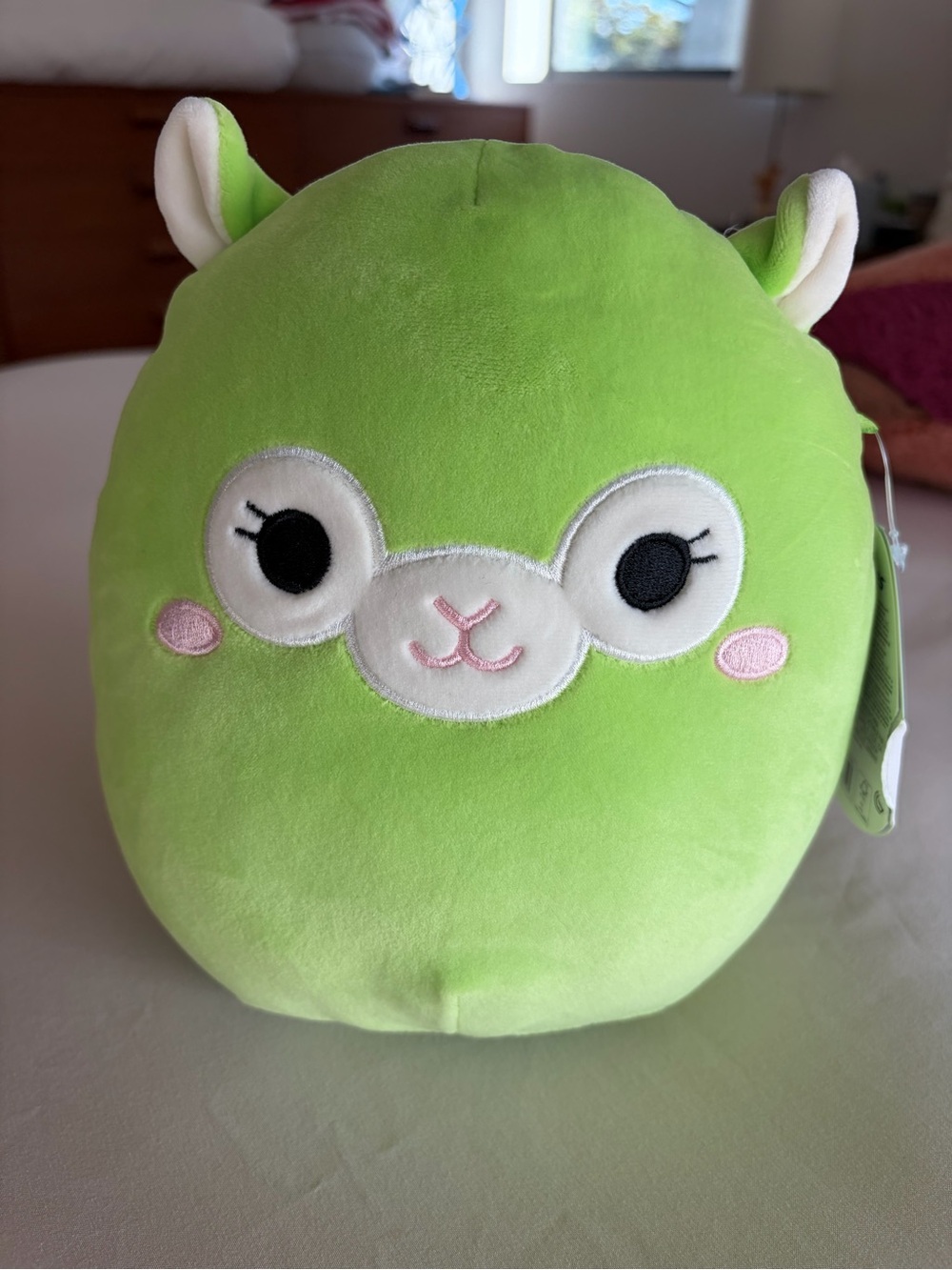Squishmallows Jim Lime Green Plush Alpaca